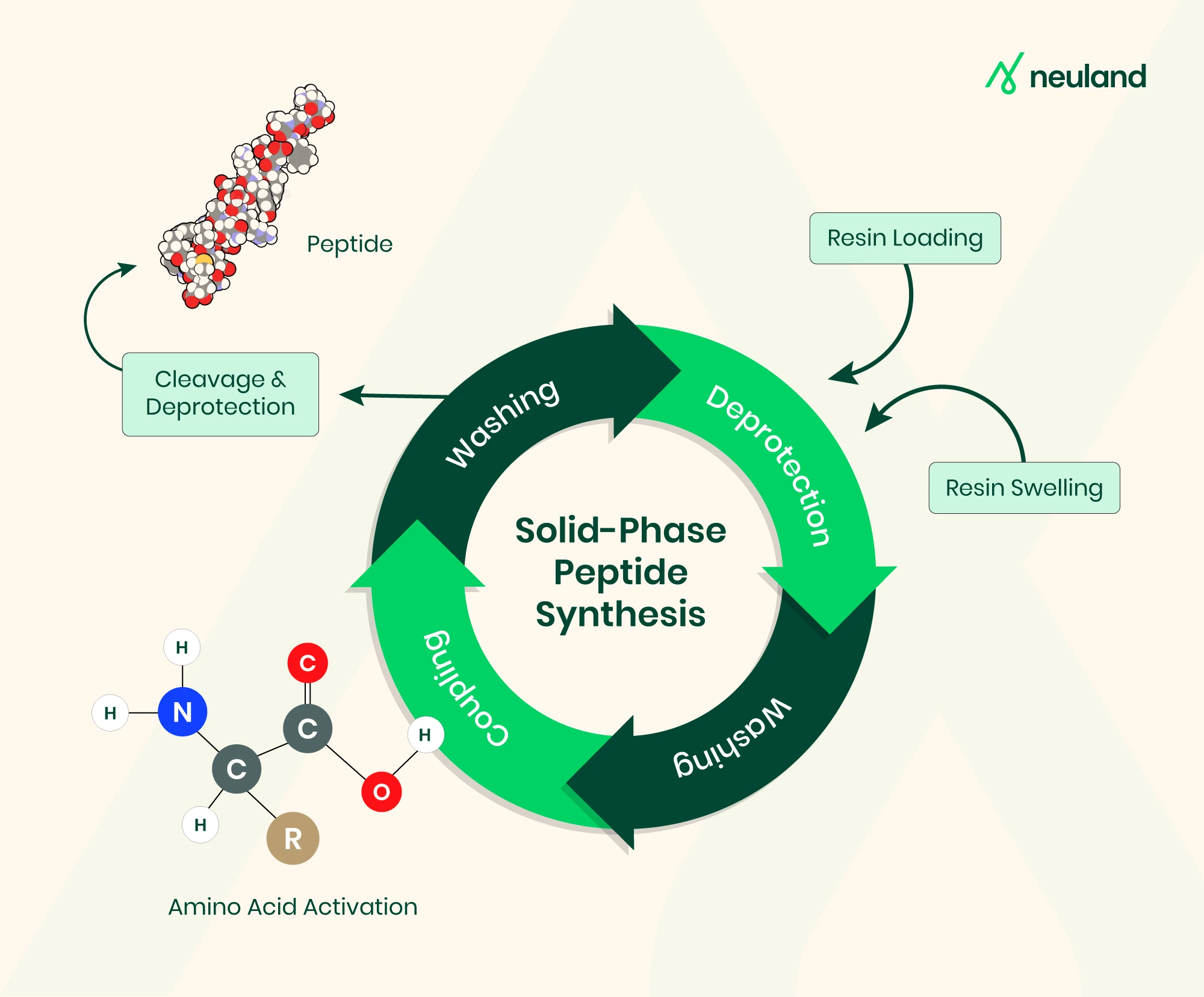 The sequence length and complexity of SPPS