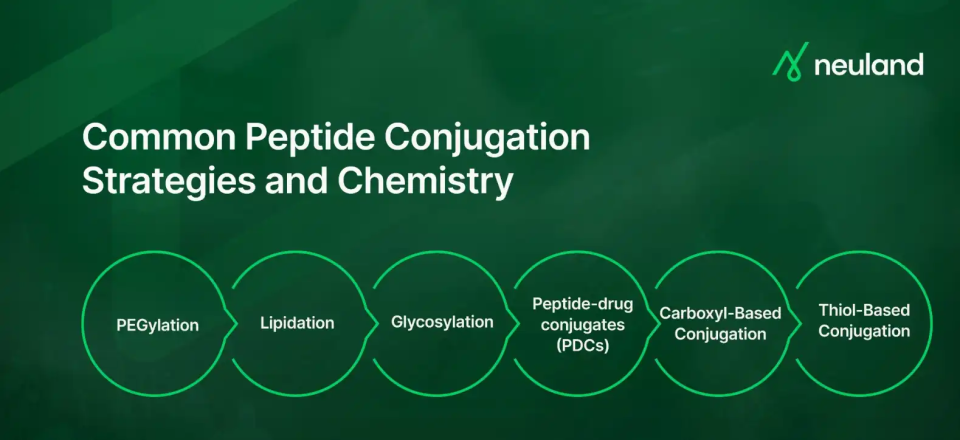 Diagram showing six peptide conjugation strategies: PEGylation, Lipidation, Glycosylation, Peptide-drug conjugates (PDCs), Carboxyl-based conjugation, and Thiol-based conjugation
