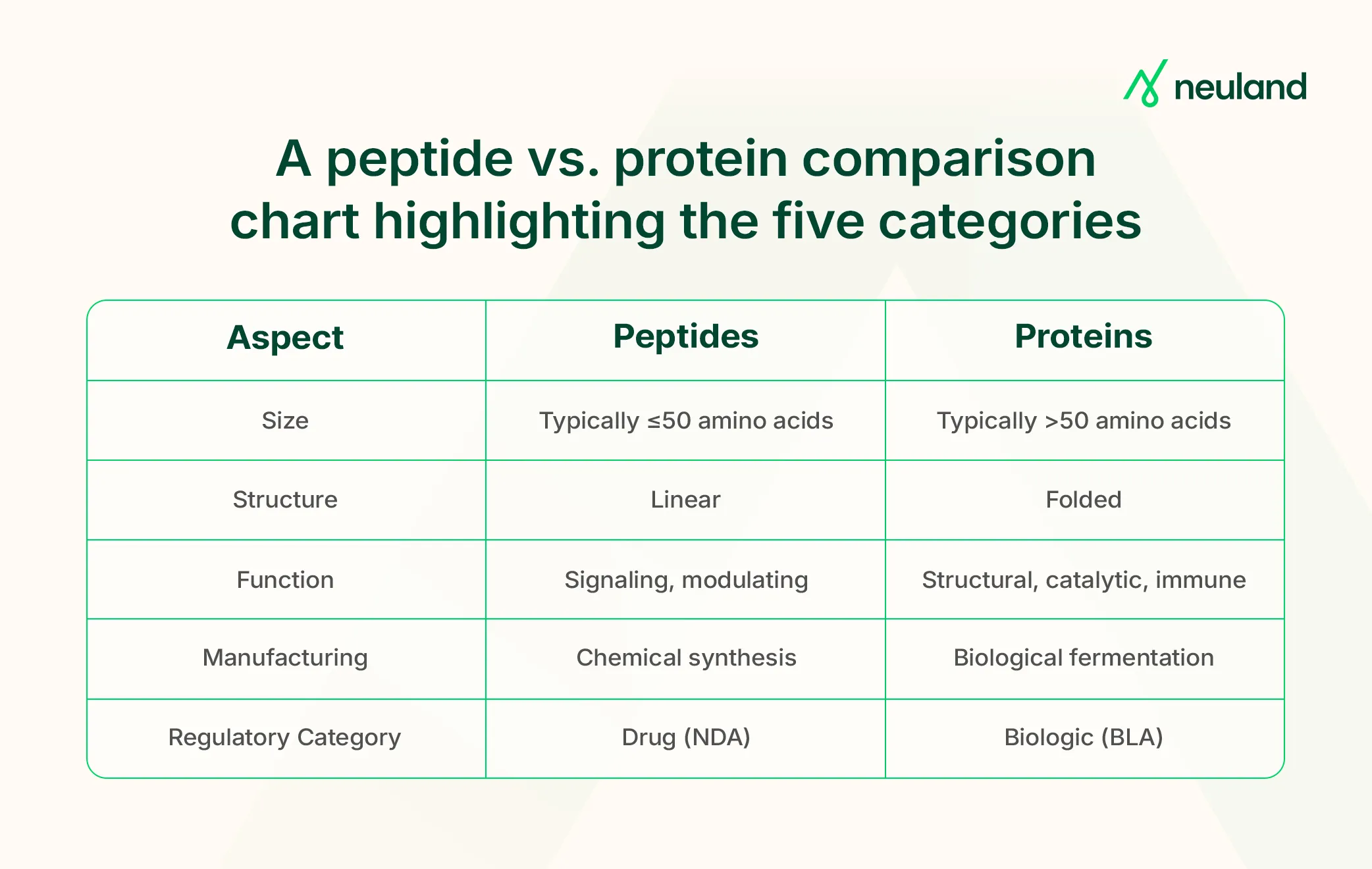 A peptide vs. protein comparison chart highlighting the five categories