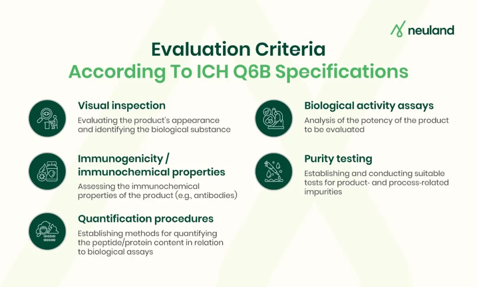 Regulatory guidelines for the analysis of therapeutic peptides